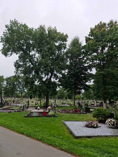 The image depicts a cemetery scene with numerous tombstones and graves. Large, mature trees with green foliage are interspersed throughout the grounds. The sky is overcast, suggesting a cloudy day. The cemetery appears well-maintained, with manicured grass and some floral arrangements on the graves. A paved pathway is visible in the foreground. The overall atmosphere is somber and peaceful. This scene is located in the city of Ketvergiai, Lithuania.