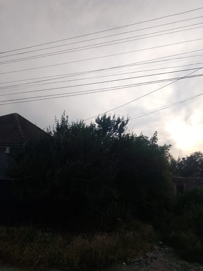 The media file shows an outdoor scene with a heavily overcast sky, with power lines crisscrossing the frame. In the foreground, a dense line of dark green foliage and trees obscures much of the ground and any potential structures behind it. A portion of a dark, possibly gray, house with a tiled roof is visible on the left side, partially hidden by the vegetation. The overall lighting suggests it is either early morning or late evening, with the sun diffused and peeking through the clouds on the right side of the frame. The lower portion of the image reveals dry, tall grass and some rocky ground. The setting appears to be rural or semi-rural, consistent with a location in Vulcănești, Moldova. No people or specific activities are depicted, and there is no visible text. The mood is subdued, possibly hinting at an approaching or receding storm due to the heavy cloud cover.