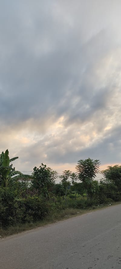 This media file depicts a roadside scene in Blangmajron, Indonesia. The image is dominated by a cloudy sky with patches of sunlight breaking through, suggesting either early morning or late afternoon. The foreground features a paved road running diagonally from the bottom right corner towards the left. Along the edge of the road, there is dense greenery, including bushes and trees, with some taller plants like banana trees visible on the left. The foliage appears lush and varied. In the background, beyond the vegetation, hints of a rural landscape are visible, with more trees and possibly some open fields. There are no people or specific objects that stand out, making the scene a natural landscape. The overall mood is serene and peaceful, characteristic of a quiet rural setting. The lighting suggests a soft, diffused light, typical of dawn or dusk.