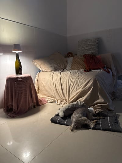 A small dog sleeps on a dark rug on a tiled floor in what appears to be a bedroom. The room is dimly lit by a lamp on a small table next to a bed. The bed is covered with light-colored linens and several pillows and a red bag. A green bottle is on the table next to the lamp. The scene is cluttered and appears to be a residential setting in Siem Reap, Cambodia.