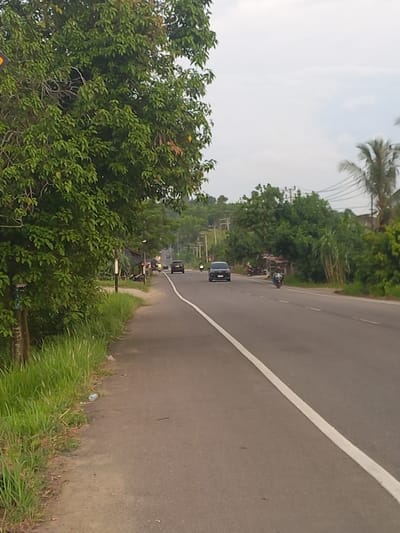 The image depicts a road in Seuneubok, Indonesia. A two-lane asphalt road runs through a rural or semi-rural area, bordered by lush green vegetation on the left and a variety of trees and foliage on the right. The sky is overcast.
On the left side of the road, a dense canopy of green leaves from a large tree dominates the foreground. Tall green grass grows along the edge of the road. A rustic wooden post with some objects attached is visible near the edge of the grass.
On the road, several vehicles are present. A black car is traveling away from the viewer in the right lane. Further down the road, another black car is visible in the left lane, also traveling away. A motorcycle is approaching the viewer in the left lane.
On the right side of the road, a small, makeshift shelter with a dark roof is situated near the tree line, with several motorcycles parked nearby. Beyond the shelter, more trees and vegetation are visible, with some taller plants and what appear to be utility poles and wires in the background. The overall scene suggests a typical day on a road in a tropical environment.