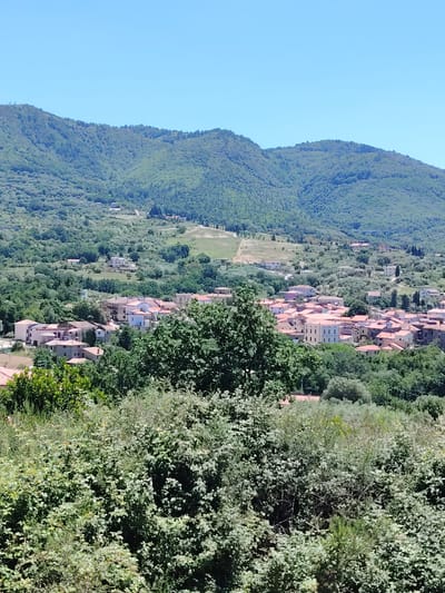 This is an outdoor shot of Ceraso, Italy, under a clear, blue sky. The scene is an elevated view overlooking the town from a distance.

In the foreground, dense green foliage dominates the lower portion of the frame. Above the foliage, a cluster of buildings with terracotta roofs is visible, forming part of the town. The buildings are mixed in with more green vegetation, giving the town a partially hidden appearance amidst the trees.

In the background, a large green mountain range spans the width of the frame, providing a natural backdrop to the town. The terrain is uneven, creating a varied elevation across the range.