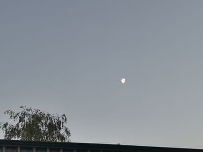 The image displays a tranquil outdoor scene featuring a bright gibbous moon in a clear, light blue-grey sky. The moon is positioned in the upper right quadrant of the frame, standing out against the pale sky. In the lower left, the upper portion of a tree with dense, dark green foliage is visible, with its branches extending towards the center. Below the tree and stretching across the bottom edge of the photograph is a dark, linear structure, likely a roof or a fence, hinting at a built environment or a boundary. The sky is entirely free of clouds, suggesting fair weather conditions. The presence of the moon during what appears to be daytime or twilight indicates either an early morning or late afternoon setting. There are no people or specific activities taking place, contributing to a calm and serene atmosphere. No text is visible in the image. The location context suggests this scene was captured in Zhivkovo, Bulgaria.