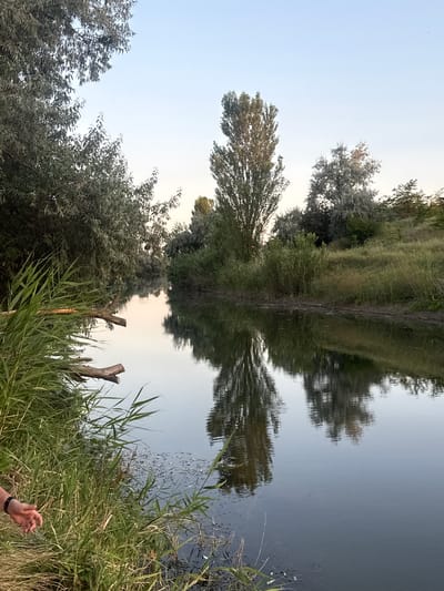 The image depicts a tranquil river scene, likely in or near Krasnoflotske village in Ukraine. Tall trees with light green foliage dominate the left and central portions of the frame, with some smaller bushes and grasses lining the riverbanks. The water is calm and reflects the trees and sky, creating a mirror-like effect. Two pieces of fallen wood are visible near the river's edge on the left. A person's hand, wearing a dark bracelet, is visible in the lower left corner, reaching towards the water. The sky is clear and pale blue, suggesting either early morning or late afternoon. The overall atmosphere is serene and natural, with no signs of urban development.