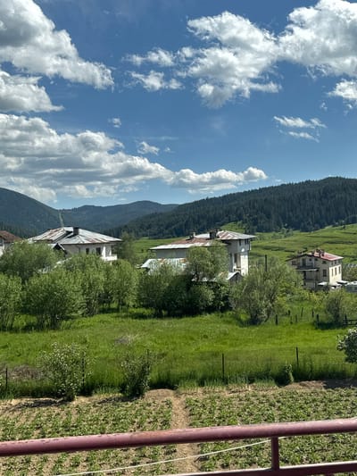 The image shows a rural landscape in Borino, Bulgaria. Several buildings with light-colored facades and rusty metal roofs are nestled amongst green trees and grassy fields. A dense, dark green forest covers the slopes of mountains in the background, with a blue sky dotted with white clouds above. In the foreground, a garden bed is visible, separated from a grassy area by a fence. A brown metal structure is in the extreme right of the image.