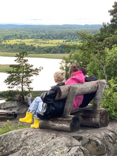 The image depicts a group of young women sitting on a rustic wooden structure, possibly a viewing platform, overlooking a vast, tree-covered landscape. The scene is set outdoors, likely in a natural park or wilderness area. The time of day appears to be overcast or late afternoon, as indicated by the diffused light.
Two women are prominently visible. One, with blonde hair tied in a bun, is wearing a black jacket and light-colored pants, along with bright yellow rain boots. Her body is angled away from the camera, suggesting she is looking at the scenery. The other woman, partially visible, is wearing a bright pink jacket over dark clothing. Her head is also turned away, possibly engaged in conversation or admiring the view. Behind them, another person in dark clothing is seated.
The wooden structure is made from rough-hewn logs, giving it a natural and sturdy appearance. It is built on a rocky outcrop, providing a vantage point over the extensive forest and fields below. The landscape is characterized by rolling hills covered in dense green trees, with patches of lighter green fields interspersed. The sky is a pale, hazy white, hinting at overcast conditions. The overall atmosphere seems relaxed and contemplative, with the subjects seemingly enjoying the natural beauty of their surroundings. The presence of yellow rain boots suggests the possibility of recent rain or the anticipation of it, which is common in certain climates during cooler months. No text is visible in the image.
