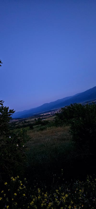 The image depicts a landscape scene at dusk or twilight, with a clear, dark blue sky dominating the upper portion. In the midground, a valley stretches out, dotted with a village or town that is illuminated with numerous lights, suggesting it is nighttime or very late evening. Rolling hills and mountains form a layered backdrop, fading into a hazy blue in the distance. In the foreground and middle ground, the terrain is covered in various types of vegetation, including trees and dense grasses. Some of the foreground vegetation features small yellow and white flowers, particularly concentrated at the bottom of the frame. The overall impression is a rural or semi-rural setting with a settlement nestled within a valley, observed from an elevated vantage point. The location is identified as the city of Momin Prohod, Bulgaria.