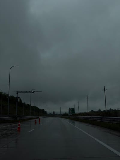 A long, straight highway stretches into the distance under a heavy, overcast sky. The road surface is dark and wet, reflecting the gloomy light. Orange traffic cones are spaced along the right edge of the highway. Streetlights line the side of the road, and a sign with speed limits of 80 and 110 is visible. Power lines run parallel to the highway on one side. The vegetation along the sides of the road is dense. The location is Grigalati, Georgia.