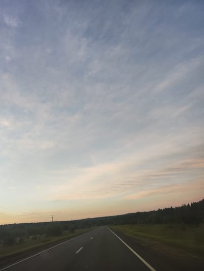 The image shows a road stretching into the distance, bordered by a dark green forest on the right and a lighter green field on the left. The sky above is a pale blue with wispy, pink-tinged clouds, suggesting it is either dawn or dusk. Power lines and a utility pole are visible in the distance to the left of the road. The scene appears to be in a rural or natural setting, possibly along a highway in the countryside. There are no people or vehicles clearly visible in the image.