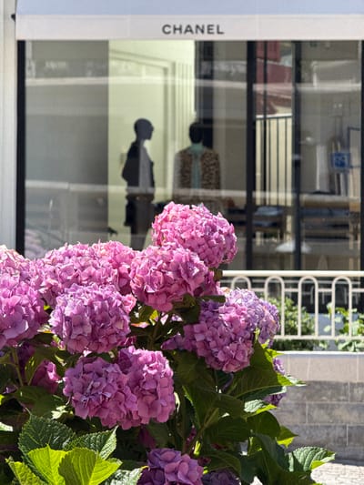 In the city of Biarritz, France, a Chanel store window is reflected in the glass, displaying two mannequins. The sign "CHANEL" is visible above the window. In the foreground, a vibrant cluster of pink and purple hydrangeas blooms, with lush green leaves providing a natural contrast to the store's facade. The scene is illuminated by bright sunlight, casting shadows and highlighting the textures of both the flowers and the architectural elements. A white railing with arched details separates the storefront from the sidewalk area.