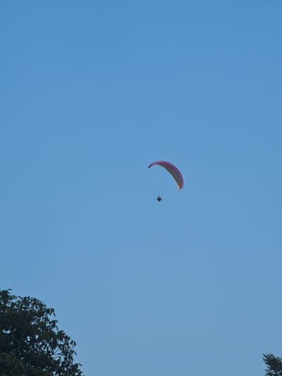 A lone paraglider, suspended beneath a purplish-pink canopy, soars against a vast, clear blue sky. The paraglider, appearing as a small, dark figure, is positioned in the upper right quadrant of the image. In the lower left corner, the dark green foliage of a tree branches into the frame, its leaves a dense mass against the pale sky. The scene is devoid of any discernible urban elements, suggesting an open, natural setting, possibly outside the main populated areas of Skalsko, Bulgaria. There is no indication of other people or specific landmarks within the frame that would further pinpoint a location within Skalsko. The overall impression is one of serene solitude and aerial freedom.