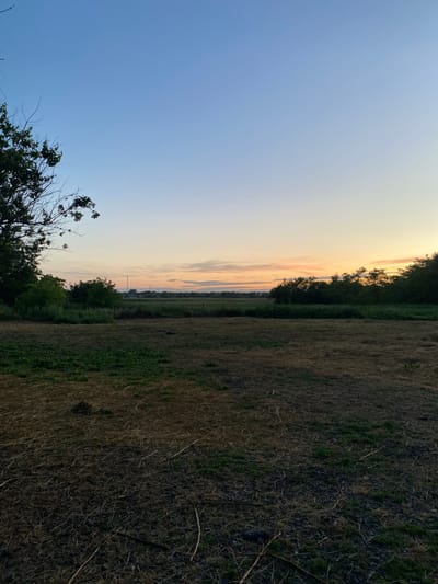 This is a horizontal, medium-shot photograph of a rural landscape at dusk. The sky is a gradient of clear blue at the top, transitioning to pale yellow and pink near the horizon, with thin, wispy clouds. In the foreground, a field of dry grass and dirt stretches across the bottom of the frame, with patches of green vegetation. A dark line of trees runs across the mid-ground, separating the field from a distant, flat landscape. Silhouetted against the horizon are a few faint structures, possibly buildings or radio towers, and more trees. The overall mood is serene and peaceful. The scene appears to be located in the vicinity of Kisliakovskaya, Russia, a rural area known for its agricultural landscapes.