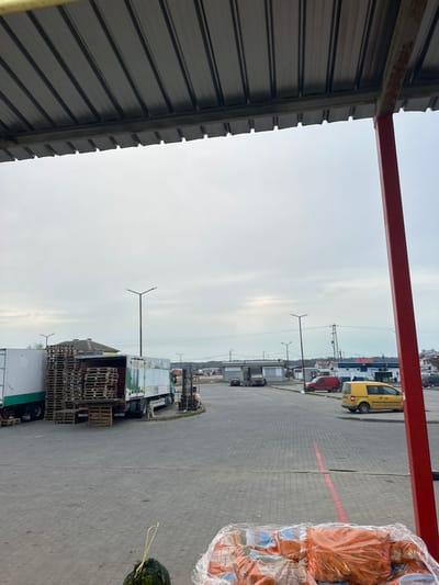 The image displays an outdoor commercial or logistics yard located in Plodovitovo, Bulgaria, under an overcast sky. The viewpoint is from beneath a grey corrugated metal canopy, visible at the top of the frame. A thick, red vertical metal pillar is prominent on the right. In the immediate foreground, on a grey paver surface, a dark green melon-like object with a yellow string is situated next to a large quantity of orange-colored produce, likely carrots or mandarins, packaged in clear plastic bags, stacked on pallets, and wrapped in clear plastic film.
The midground features an expansive grey paver parking or loading area with a faint red line painted longitudinally on its surface. On the left, two white semi-trailer trucks are parked. The truck closer to the center has its rear doors open, revealing multiple stacks of wooden pallets inside, with an additional tall stack of pallets positioned outside its rear. A light-colored dog is visible near the rear of this truck. Several tall, dark streetlights with V-shaped luminaires are positioned throughout the lot. On the right side of the paved area, a yellow compact van is parked, and a red van is partially visible further in the distance.
The background consists of various low-rise buildings, utility poles with power lines, and a distant tree line under the horizon. No human figures are present in the scene.