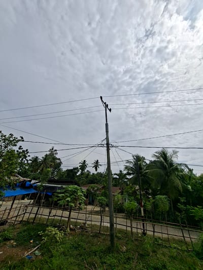 This image depicts a scene in Uleemeuria, Indonesia, characterized by overcast skies and lush tropical vegetation. A prominent utility pole stands to the right of center, carrying multiple electrical wires that stretch across the frame. Two small, dark birds are perched on the wires attached to the top of the pole.
In the foreground, a rustic wooden fence made of branches and bamboo separates a grassy area from a dirt road. Beyond the fence, several buildings are visible, some with blue and black tarps covering their roofs, suggesting ongoing construction or repairs. Palm trees and other dense foliage dominate the background, creating a verdant and slightly overgrown atmosphere. The overall impression is of a rural or semi-rural setting in a tropical climate, under a cloudy sky.
