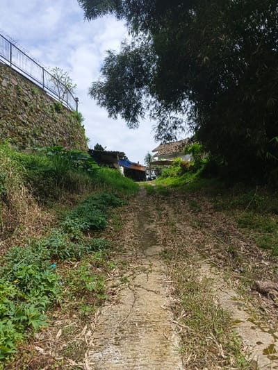 A concrete path, approximately 1.5 meters wide and covered with scattered dried leaves, ascends uphill through dense vegetation in a semi-rural area of Bình Hải, Vietnam. The path exhibits cracks and minor overgrowth. To the left, a steep, moss-covered stone retaining wall rises, topped by a dark metal fence with barbed wire and a single lamp post. Further up the path on the left, a structure with a corrugated roof and light-colored walls is partially visible. To the right of the path, dense, dark green foliage from an unseen tree dominates the upper right quadrant, while a building with a multi-tiered, light-colored tiled roof and white walls is visible behind the foliage line. The sky above is partly cloudy. No individuals or vehicles are present.