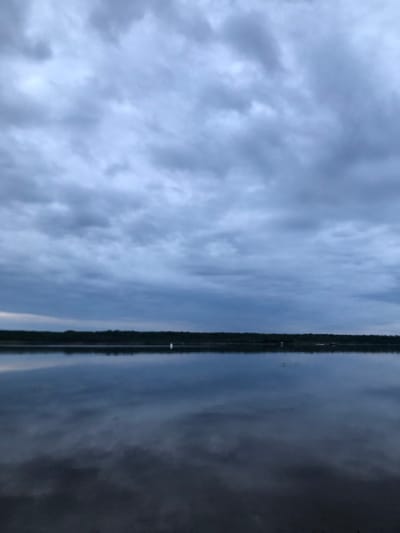 The image depicts a serene natural landscape, likely captured in Svirstroy, Russia, given the context. A vast, calm body of water dominates the lower half of the frame, perfectly reflecting the cloudy sky and the dark, tree-lined horizon. The sky itself is filled with a dense layer of overcast clouds, creating a moody, muted atmosphere. The horizon line is a sharp, dark band of evergreen trees, stretching across the width of the image. In the distance, on the water, there are a few small, indistinct objects which might be boats or buoys, and a white object which could be a marker or a lone figure. The overall impression is one of stillness and tranquility, with the natural elements creating a symmetrical and somewhat somber scene.