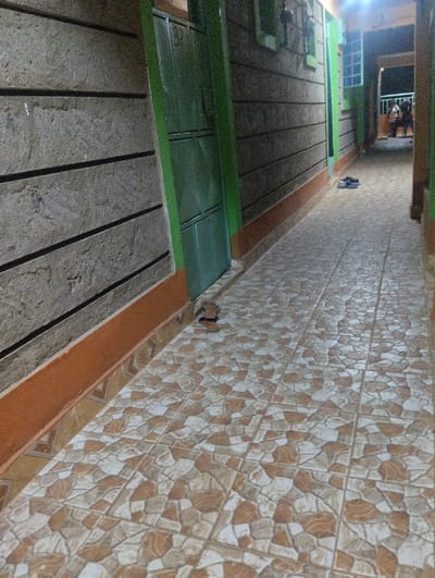 A narrow, tiled corridor extends into the distance. The walls are textured, alternating between a grey, rough surface and a dark, smooth material. Doors are framed in green. Pairs of shoes sit on the floor near the doors. Faintly visible in the distance are figures on a balcony or patio. The overall lighting is dim.