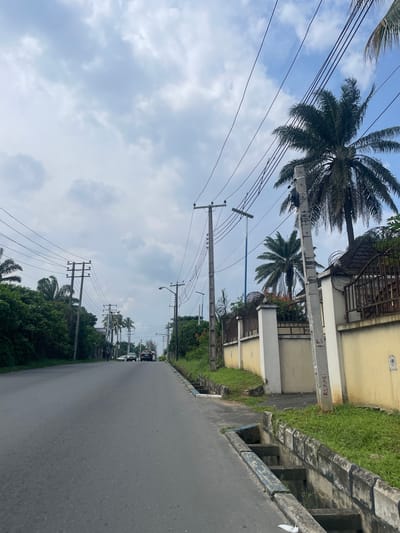 The image depicts a daytime street scene in Port-Harcourt, Nigeria, under an overcast sky with scattered, light-colored clouds. A paved asphalt road, likely a two-lane thoroughfare, extends into the distance.
On the left side of the road, multiple utility poles, a mix of wooden and concrete, support a complex web of black power lines that stretch across the frame. Several prominent palm trees with dark fronds are visible, both in the foreground and receding into the distance, alongside other dense green foliage lining the street.
The right side of the road features a concrete drainage ditch or gutter, bordered by a strip of green grass. Beyond the grass are two-story buildings with light yellow walls and dark fences or gates. One building has a metal fence topped with what appears to be razor wire. On a concrete utility pole near these buildings, the numbers "2.5" and the text "RS.MARI" are visible in red or orange.
A few vehicles are faintly discernible in the distance on the road. The scene is devoid of people. The diffused light suggests it is either mid-day or early afternoon on a cloudy day.