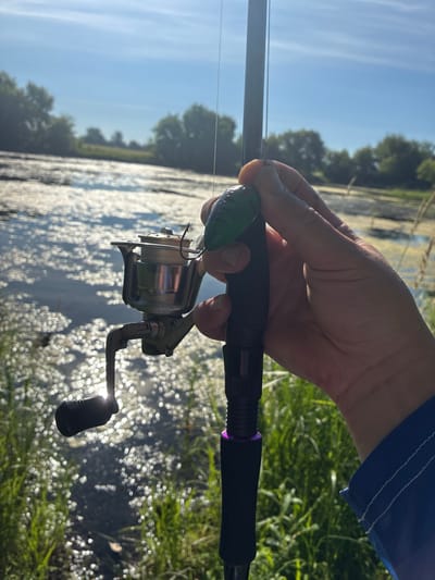 A close-up, eye-level shot shows a hand holding a fishing rod with a lure attached. The rod is black with a purple accent near the bottom. The lure is green and shaped like a frog with red eyes. To the left of the rod, a silver fishing reel is visible. The background depicts a body of water with shimmering reflections from the sun, surrounded by green vegetation and trees. The sky is clear and blue with some subtle clouds. This scene appears to be a peaceful outdoor setting, possibly a lake or riverbank. The image doesn't contain any specific landmarks that would identify its location within Toruń, Poland.
