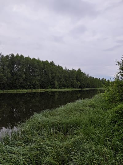 The image depicts a tranquil waterscape, likely a canal or a wide, slow-moving river, bordered by dense vegetation. The location is presumed to be in or near Kharnavy, Russia. The water's surface reflects the line of trees that run along the opposite bank, creating a mirror image. The sky is overcast with a flat, grey cloud cover. On the near bank, long green grass grows densely, partially obscuring the edge of the water. There are no visible people or signs of human activity beyond the potential alteration of the waterway itself. The overall atmosphere is peaceful and natural.