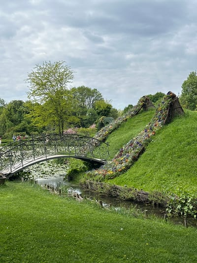 The image shows a picturesque landscape in Nicolae Romanescu Park in Craiova, Romania. The foreground features an ornate wrought-iron bridge arching over a body of water covered in lily pads. In the mid-ground, two flower-lined wicker structures cascade down a grassy hill. Trees and other greenery surround the area. The sky is overcast. Several people are visible in the distance, near the bridge.