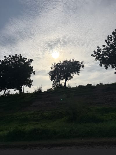 The image depicts a silhouetted landscape, likely captured in Gwaska, Nigeria. The dominant subjects are trees and a cloudy sky. The sun is visible through the clouds, casting a bright, diffused light. The composition is oriented vertically, with a portion of a grassy incline on the right side of the frame and a road visible along the far right edge. Power lines stretch across the sky, suggesting the presence of human infrastructure within this natural setting. The overall mood is serene and possibly contemplative, with the natural elements taking center stage. The time of day appears to be either early morning or late afternoon, given the angle and intensity of the sun. The weather is overcast but bright, indicating a partially cloudy or hazy sky. There is no visible text in the image.