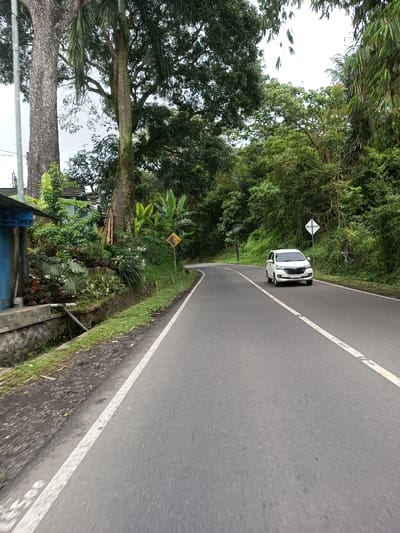 The image displays a two-lane asphalt road curving to the right through a densely vegetated environment in Serpang Shalli, Bhutan. The sky is overcast. A white passenger vehicle, consistent with a minivan or small SUV, is observed approaching from the distant curve, positioned in the right lane.
On the left side of the road, a narrow dirt shoulder transitions to a concrete drainage ditch. Behind the ditch, a low stone wall supports a bank of dense green foliage, including banana plants. Two large trees with prominent, textured trunks rise from this area, partially obscuring a blue-sided structure with a light-colored roof. A yellow diamond-shaped road sign with black symbols, indicating falling rocks, is situated on the left before the curve.
The right side of the road features a steep embankment covered in lush, dark green trees and undergrowth. A white square-shaped sign with a black border and a diagonal line, typically indicating a no-passing zone, is visible on the right further along the curve. No individuals are present in the scene.
