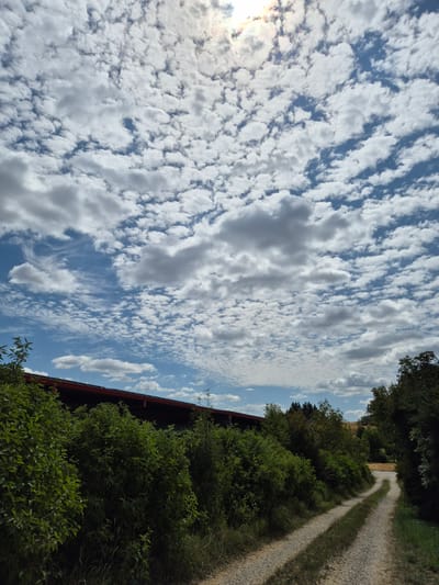 The media file depicts a rural scene in Mengkofen, Germany, on a day with scattered white clouds against a blue sky. The image is oriented vertically. In the foreground, on the right, is a reddish-brown structure, possibly a building or roofline, partially obscured by dense green foliage. A gravel path winds its way through the scene, disappearing into the distance and bordered by lush greenery. The path appears to be a dirt or country road, suggesting a natural or undeveloped setting. The sky is a prominent feature, filled with a variety of cloud formations, from small, wispy clouds to larger, more defined cumulus clouds. The sun is visible in the upper left quadrant, casting a bright light and creating a slight glare, indicating it is likely daytime. The overall atmosphere is peaceful and serene, evoking a sense of the countryside. There is no visible text in the image.