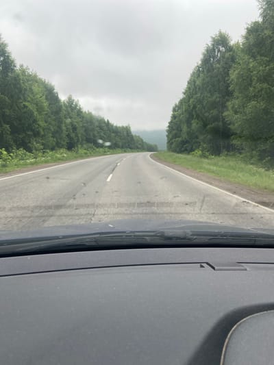 The image shows a view from inside a vehicle, looking forward through the windshield. The vehicle appears to be driving on a two-lane asphalt road that curves to the left. The road is bordered by dense green trees on both sides, characteristic of a forest or rural area. The sky is overcast with gray clouds. In the foreground, the dashboard of the vehicle is visible, and the windshield has some dust or water spots on it. The scene is consistent with a road passing through a forested region, possibly in the vicinity of Arkhangelskoye, Russia, given the type of vegetation and the overcast sky which is common for the region. There are no people or other vehicles clearly visible in the image.