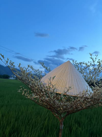 The image is an off-kilter composition of a conical structure, likely a gazebo or similar architectural feature, framed by branches of a tree with variegated leaves. The structure is made of light-colored, possibly translucent, corrugated material. The sky in the background is a gradient of blue, indicating twilight or dusk. The green area to the right suggests a lawn or field. In the distance, there is a hint of a mountain or hill. The location is possibly near Diên Khánh, Vietnam, as specified in the prompt. There are no people visible in the image.