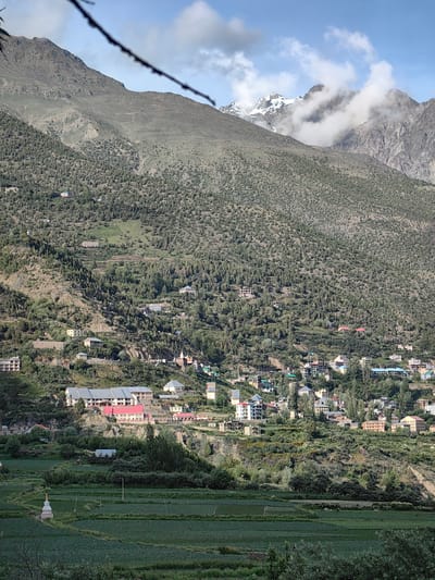 The image depicts a mountainous landscape with a village nestled on the slopes, situated in the vicinity of Kardang, India. A prominent mountain range dominates the background, with its upper reaches covered in snow and partially obscured by clouds. The slopes of the mountains are covered with dense vegetation, primarily consisting of coniferous trees. Scattered across the slopes are numerous houses and buildings, forming a village that extends upwards. In the foreground, there are agricultural fields, appearing green and cultivated. A small stupa-like structure is visible in the lower left quadrant of the image, located within the fields. The scene is captured during the daytime, with soft sunlight illuminating the landscape. There are no visible people or animals in the frame.