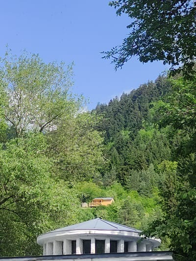 The image depicts a serene view of a hillside covered in lush green trees, with a clear blue sky overhead. In the foreground, the roof of a white, circular structure with a grey roof is visible. Further up the hillside, a small, light-colored wooden house with a porch is nestled among the trees. The overall scene suggests a tranquil, natural environment, likely a park or a residential area on the outskirts of a city. The architectural style of the circular building in the foreground and the presence of the small house suggest a location in Borjomi, Georgia, a city known for its resort-like atmosphere and natural beauty.