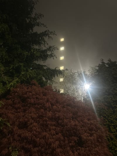 The image, taken at night, presents a view looking upwards through trees and dense foliage towards a building with four visible illuminated windows. The scene is shrouded in heavy fog or mist, obscuring details and diffusing the light from the windows and a light source above. The foliage ranges from dark green to reddish-brown, suggesting varied plant species. The location is not identifiable as Dundee, United Kingdom, based on the visual content.