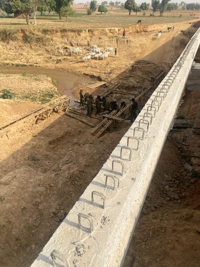 A long concrete structure with protruding rebar "loops" spans the scene. Workers, clad in dark clothing, labor near a temporary wooden framework within a ditch. A cluster of white cattle graze on the far bank, with scattered trees dotting the horizon. The landscape is predominantly arid and earthy, showcasing agricultural fields beyond the ditch. The image has been rotated.