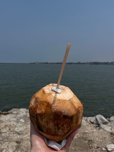 A person holds a coconut with a straw on a sunny day with a body of water and land visible in the background. The coconut is light brown, irregularly shaped, and has a straw inserted into it. The person's hand is visible, holding the coconut, which also has a white paper wrapper at the base. A body of water stretches horizontally across the middle of the frame. The water is a dark green-gray color. Beyond the water, a strip of land with vegetation is visible. The sky is a light blue-gray gradient at the top of the frame. To the right of the coconut is a gray, rocky surface. The location is Coatzacoalcos, Mexico.