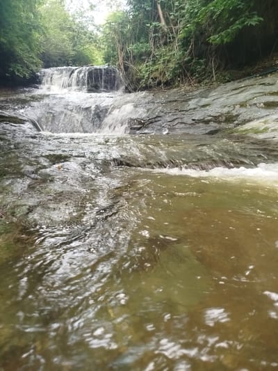A low-angle shot captures a cascading waterfall flowing over dark, rocky terrain. The water in the foreground is a murky green-brown, with white foam bubbling at the edges of the rapids. The rocks are wet and appear to be layered. Lush green foliage and trees line the banks of the waterfall and extend into the background, creating a shaded, natural environment. The sky is overcast, diffusing the light and contributing to the subdued color palette of the scene. The image appears to be taken in a natural, wooded setting. The city of Bayan, Azerbaijan is not visible in this image.