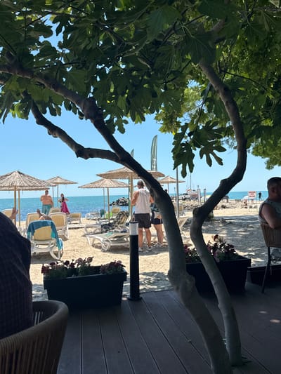 The image depicts a beachfront scene at the city of Kavarna, Bulgaria, under a clear blue sky. In the foreground, a large tree with leafy branches partially obstructs the view of the beach. A dark wooden deck with a wicker chair is visible in the lower portion of the image.
Beyond the deck, a sandy beach is laid out with several empty lounge chairs and straw umbrellas. People are present on the beach and near the water. To the left, two individuals stand near lounge chairs, one with their back to the camera, wearing blue shorts and a light-colored top, and the other, a woman, in a pink garment. Further inland, a man wearing a white tank top and dark shorts stands with his back to the camera, and a woman in a dark skirt and white top stands nearby.
The sea, a bright turquoise, stretches to the horizon, with some scattered rocks and a boat visible in the distance. A sign with Cyrillic text and "FREE ZONE" is posted on the beach. On the right side of the image, a man in a gray tank top is seated, facing away from the camera. Planters with flowers are situated on the deck near the edge of the beach. The overall atmosphere suggests a relaxed, sunny day at the beach.