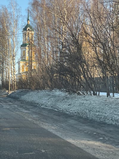 The image depicts an outdoor scene in Чутырь, Russia, characterized by winter or early spring conditions. A multi-tiered church bell tower, predominantly yellow with white trim and a dark green dome topped with a spire, is partially visible in the background, obscured by numerous bare deciduous trees. The foreground features a paved road, possibly asphalt, which appears damp or icy in patches, exhibiting faint tire tracks. A substantial bank of dirty, partially melted snow and ice lines the right side of the road, behind which a dense arrangement of bare tree branches and a segment of a wooden fence are present. The sky above is clear and light blue, indicating daylight. No individuals or active interactions are visible.