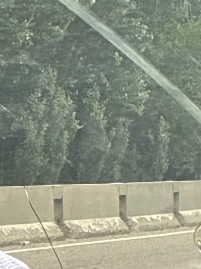 The image shows a concrete barrier on the side of a road. Behind the barrier, there is dense foliage, likely trees and bushes. A thin, dark, curved line is visible in the foreground, possibly a wire or a windshield wiper. The road itself is paved and has a white line marking the lane. In the lower left corner, a sliver of what appears to be clothing is visible. The overall impression is of a scene viewed from inside a vehicle, looking out at the roadside environment. The location within Birdik, Kyrgyzstan, cannot be determined from the visual information provided.