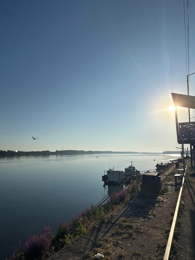 The image depicts a view of the Danube River in Silistra, Bulgaria, on a clear, sunny day. The sun is low in the sky, casting long shadows and creating a bright glare. In the foreground, a weathered, concrete embankment lines the river, with a metal railing and some benches. There are also several boats moored along the dock. Purple flowers are blooming along the edge of the embankment. In the distance, the opposite bank of the river is visible, lined with trees and buildings. A bird is in flight over the water. The overall atmosphere is peaceful and serene.