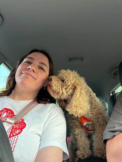 A young woman and a poodle are inside a car. The woman is in the driver's seat, looking at the camera with a slight smile. She has brown hair and is wearing a white t-shirt with a red heart-shaped design. The poodle is sitting next to her, licking her ear. The poodle has curly, light brown fur and is wearing an orange harness. The car interior is visible, with the dashboard and ceiling in the background. The scene appears to be in Krilovo, Russia, based on the prompt's context, but the image itself does not contain any specific visual cues to confirm this location.