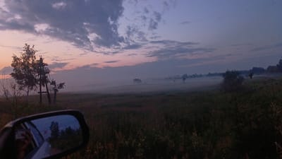 This is a photograph taken at dawn or dusk, likely from inside a vehicle, showing a rural landscape. The sky is a gradient of soft blues and purples, with hints of pink near the horizon, and is partially filled with scattered, wispy clouds. In the foreground, on the left side of the image, a car's side-view mirror reflects the scene behind it, including what appears to be a person holding a phone. Adjacent to the mirror, a tall, bare tree with branches extends upwards. In the middle ground, a field of tall grass and scattered plants is shrouded in a light mist or fog, with several trees and a utility pole visible in the distance. The overall impression is one of a peaceful, quiet morning or evening in a natural setting. There is no indication that this image is related to the city of Angarsk, Russia.