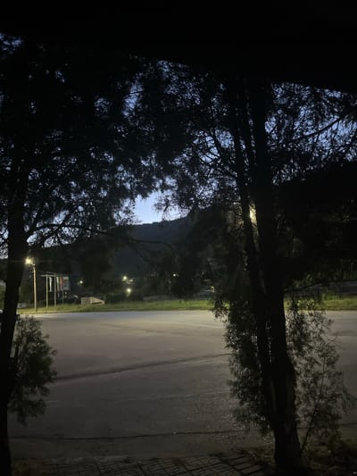 The image captures an outdoor scene in Dupnitsa, Bulgaria, during twilight or pre-dawn. Two large trees, heavily foliated and silhouetted, frame the view from the left and right sides. The sky, visible between and above the tree canopies, transitions from a deep blue near the horizon to a darker shade overhead.
In the midground, a wide, empty asphalt surface, possibly a road or parking lot, extends across the frame. On the left, a streetlamp illuminates a flagpole displaying three vertical flags: green, white, and red. Next to the flagpole, a low, illuminated monument or sign is partially visible. Further in the background, gentle hills or mountains are silhouetted against the dim sky, and several scattered streetlights cast faint glows.
The immediate foreground features a paved area with a distinctive patterned grate or tile section visible at the bottom right. No individuals, vehicles, or dynamic actions are present in the scene, which conveys a tranquil and still environment.
