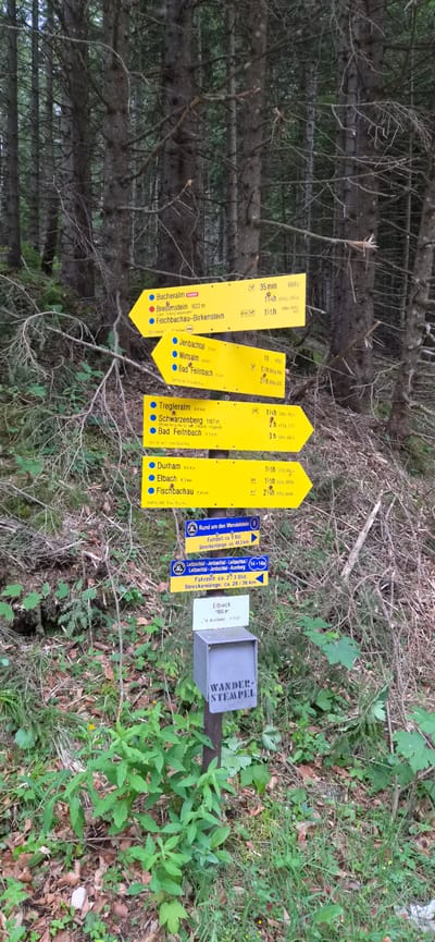 The image depicts a forest scene in Fischbachau, Germany, featuring a cluster of yellow directional signs for hiking trails. The signs indicate destinations such as Bucheralm, Breitenstein, Fischbachau-Birkenstein, Jenbachtal, Wirtsalm, Bad Feilnbach, Tregleralm, Schwarzenberg, Durham, and Elbach. Some signs also show distances in kilometers and estimated hiking times in hours and minutes. Below the yellow signs, there are two blue and white signs with circular emblems, one referencing "Rund um den Wendelstein" and the other detailing routes like "Leitzachtal - Jenbachtal - Leitzachtal - Aurburg," with associated travel times and distances. At the bottom, a metal box labeled "WANDERSTEMPEL" is attached to a post, suggesting a location for hikers to collect stamps. The environment is characterized by dense forest with numerous trees, undergrowth, and dry leaves on the ground. There are no people visible in the image.