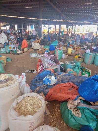 The scene depicts a bustling indoor market in Igambang'ombe ward, Kenya, under a large, open-sided structure with a visible roof supported by wooden beams. The earthen floor is scattered with light-colored grains and debris. Approximately 20-30 individuals, predominantly women, are present, engaged in commercial activities. In the immediate foreground, two large, open white sacks are prominently filled with light-colored grains. A woman wearing a blue head covering and a patterned garment is seated on a white plastic chair, attending to items on a blue tarpaulin. To her immediate left, another woman is observed handling a large green sack. Throughout the mid-ground and background, numerous individuals are seated or standing among their market goods, which include multiple large sacks (green, blue, and white) filled with bulk commodities, various baskets, and colorful tarpaulins spread on the ground. Yellow buckets, plastic bowls, and other containers are visible. In the background, textiles are hung, indicating merchandise for sale. The overall environment suggests active trade and vendor-customer interactions.