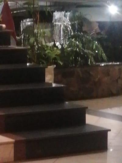 The image shows a dark, unlit interior scene. In the foreground, there are several steps of a staircase. The steps appear to be made of a dark, polished material like granite. The steps are tiered and ascend from bottom right to top left. Behind the stairs, there is a wall constructed of rough, brown stones. Above the stone wall, there is lush green foliage. Further in the background, what appears to be a waterfall or water feature is visible with a bright light source illuminating it. The overall lighting of the scene is dim and atmospheric. The location of Xuân Hương - Đà Lạt, Vietnam, is not explicitly visible in the image itself, but is provided as context.