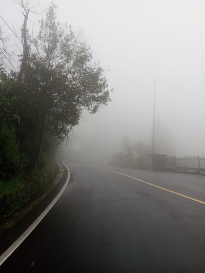 The image depicts a paved road in Dawathang_Dorjibi_ Kashingtsawa, Bhutan, under conditions of extremely dense fog. The asphalt road surface appears wet or damp. A solid white line delineates the left edge of the roadway, while a solid yellow line runs along the right side. The road curves gently to the right in the foreground before bending leftwards further into the fog.

On the left side of the road, dense green vegetation, including a prominent tree with dark leaves, lines the embankment. A visible drainage channel runs alongside the white line.

On the right side of the road, partially obscured by the fog, a tall, slender vertical pole stands upright. Adjacent to this pole is a small, open-sided structure, possibly a shelter or booth, with a dark roof. Behind this structure, a metal fence or railing is partially visible. Sparse vegetation, including what appears to be a palm-like plant, is also present on the right shoulder.

The heavy fog severely restricts visibility, rendering distant features indistinguishable and creating a uniform, bright grey background. No individuals, vehicles, or animals are present in the scene.