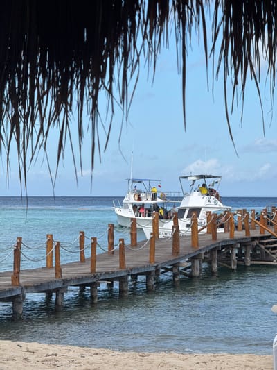 The image depicts a coastal scene in San José, Mexico, specifically a beach and pier extending into the ocean. In the immediate foreground, a light-colored sandy beach is visible, with dark, dried palm fronds or thatch from an overhead structure partially obscuring the top portion of the frame. A wooden pier, constructed from planks and supported by wooden piles, extends from the beach into the water. The pier features vertical wooden posts connected by rope railings. A set of wooden steps descends from the right side of the pier into the water.
Two white motorboats are positioned alongside the pier in the clear, turquoise-to-blue ocean water. The boat on the left, labeled "TRIP 2" and partially "MAT...PIS 15", has a blue canopy and carries multiple individuals, some visible in yellow life vests. The boat on the right, labeled "LANCAR", is positioned closer to the pier and also contains several individuals, with some wearing yellow life vests. Both boats appear to be passenger vessels, likely for tours or water activities. The ocean extends to the horizon, transitioning to a darker blue, beneath a light blue sky with minimal cloud cover.