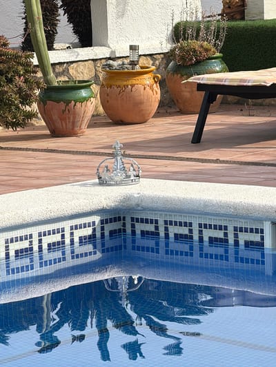 The image shows a poolside patio in Mont-roig del Camp, Spain. Various potted plants are arranged on the patio, including succulents and cacti, in terracotta pots with glazed rims. A chair is partially visible, with a striped cushion. The patio surface is made of wooden planks. The pool's edge is tiled in white and blue mosaic patterns. A decorative silver crown is placed near the pool's edge. The pool's water reflects the sky and surrounding vegetation.