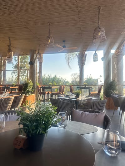 The image depicts an indoor-outdoor restaurant setting with natural light streaming in from large windows. The ceiling is covered with bamboo, and several woven pendant lights hang from it. The restaurant appears to be furnished with woven chairs and tables, some of which are set with glasses and what looks like a table number "23". In the foreground, a small potted plant sits on a table. Through the windows, palm trees and other greenery are visible, suggesting a warm climate. The overall aesthetic is relaxed and natural. The sign in the background includes the letter "Y" and the word "TH", but it is incomplete and does not provide a definitive name for the establishment. Without further information, it is not possible to confirm the location as Ayia Napa, Cyprus. There are no people visible in the image.